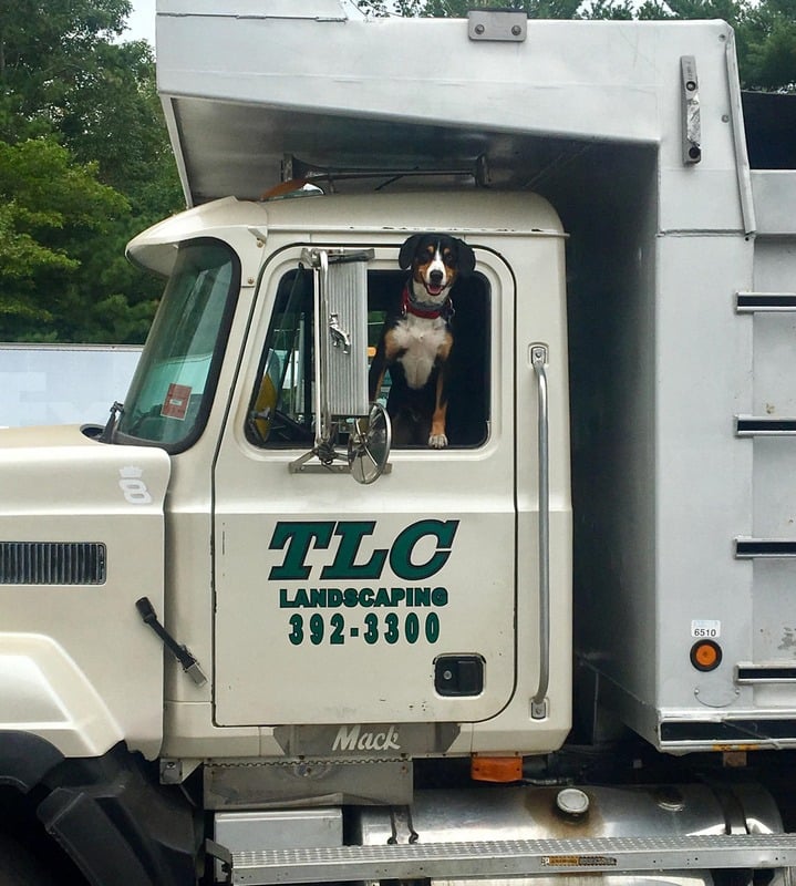 TLC Mini Storage & Landscaping Services in West Greenwich, RI - photo 1